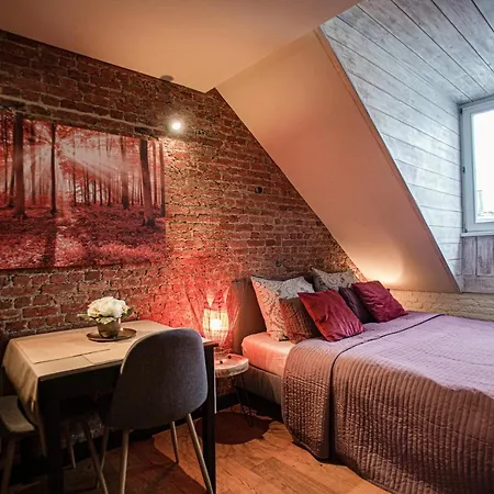 Luxury Historic Center By Rikas Apartment *